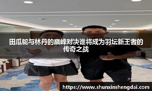 田瓜鸵与林丹的巅峰对决谁将成为羽坛新王者的传奇之战